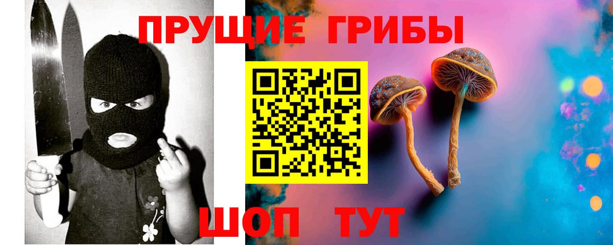 Чистополь  Псилоцибиновые грибы Psilocybine cubensis  Вход с VPN 