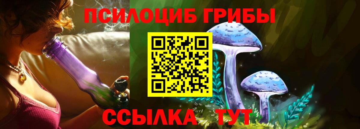 Псилоцибиновые грибы мухоморы Чистополь